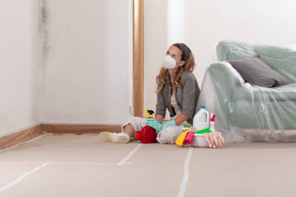 Reliable Black Mold Remediation contractor in Ferndale, MI by Car Mold Remediation